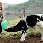 Farmer stunned after people