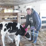 Becoming a micro dairy