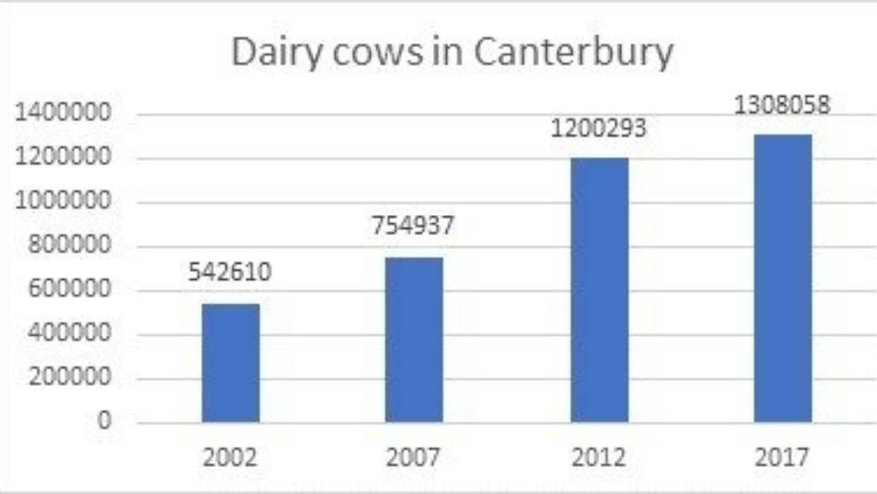 Dairy gold rush is over as nutrient limits put brake on Canterbury dairy conversions1