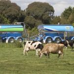 Dairy prices off to strong start in 2019