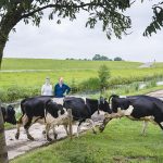 Farming outdoors brings reward