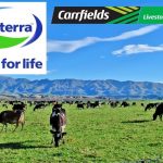 Fonterra to sell livestock division