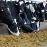 Glanbia and Lakeland hold milk price but warn of volatile and uncertain market