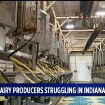 Indiana dairy farmers struggling to stay afloat