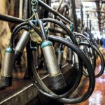 Ireland records fastest growing milk supply in the EU