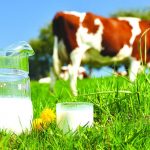 Submission call for national dairy code