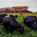 Multi million dollar WA dairy processing facility takes the transparent approach