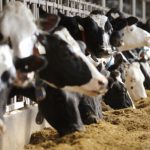 Dairy Farmers pull ad after complaints over alleged misleading the public