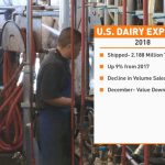 Dairy Report