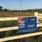 Dairy co op Norco lifts direct milk price to farmers