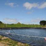 DairyNZ Huge fine over effluent a warning for farmers