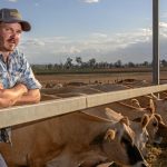 Farmers warn the sun is setting on Australian dairy