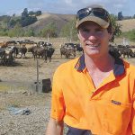 Fire ravaged dairy farmer returns