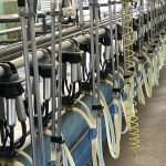 GB milk production set for 29 year high