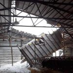 Minnesota dairy farmers see unusual number of barn collapses