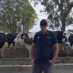 Scenic Rim dairy farmers benefit from price increase