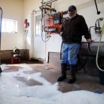 The curious case of tainted milk from a Maine dairy farm