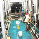 Wisconsin dairy farmers discuss ongoing crisis they face