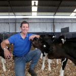 Dairy farmer Tim Jelbart enhances dairy heifer fertility rates