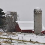 Dairy farmers need profits not handouts