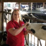 Dairy safety network launches to improve employee training