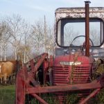 Farm sales are down on a year ago with dairy farms showing the biggest decline but prices appear to be holding up