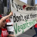 Im a dairy farmer – I have a problem with the vegan protests