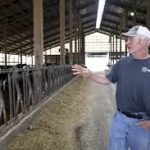 Ohio has lost a quarter of its dairy farms