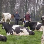 Why the Guinness clan has called time on dairying