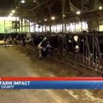 Dairy farmers hope