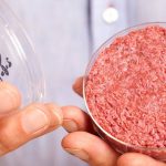 Fonterra is investing in artificial meat but would you eat it