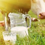 The Country Womens Associations concerns over ‘devaluing milk