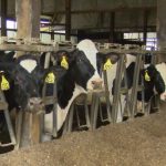 Wisconsin farmers express concerns during farm crisis town hall