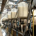 A new approach to ending the boom and bust milk price cycle