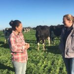 Access to skilled overseas workers now easier for Australian dairy farmers