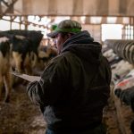 As Trump Calls For Immigration Crack Downs Dairy Industry Worries About Declining Work Force 1