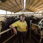 Colin Thompson elected new chair of NSW Farmers Dairy Section 1