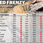 Dairy Australia report identifies hefty price hikes for grain and hay 1