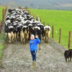 Farmers demand milk price