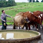 Fifth generation dairy farmer Jason Smith says hes never seen the industry under this much pressure 1