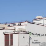 Westland Milk chairman disputes that management bonuses are a conflict 1