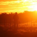 Bush accountants get mental health first aid training to help farmers through drought 1