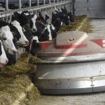 Dairy farmers see signs of an upswing 1