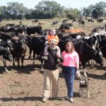 Disruptive tech may not be answer say dairy farmers 1