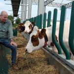 Dutch dairy tries to promote animal welfare and combat pollution with urban farming 1