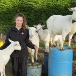 Exciting year in dairy for Kimberley 1