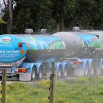 Fonterra builds A2 milk supply in Waikato 1