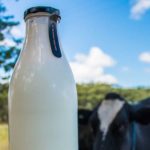 Milk processors competitive 1