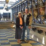 Qld dairy farmers no cause for optimism 1