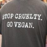 Why vegan activists should switch gears 1